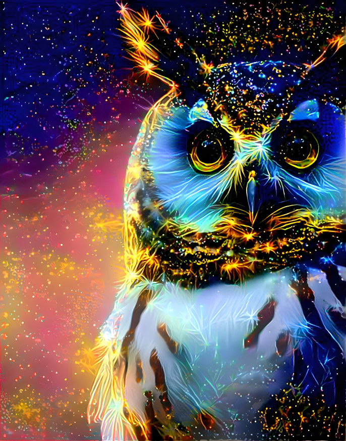 Star light star bright I present Charc’Owl
