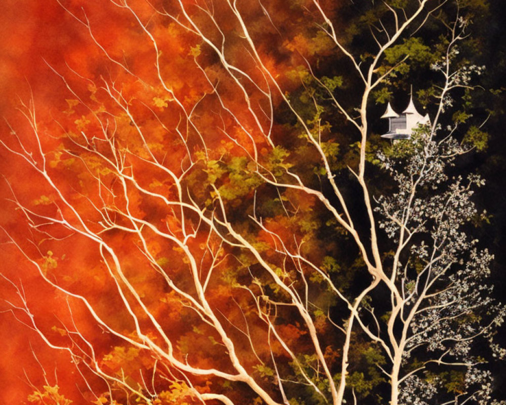 Leafless white tree against red-orange autumn foliage with structure peeking through corner
