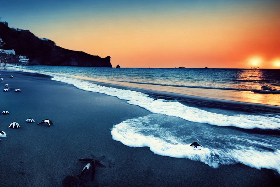 Tranquil sunset beach scene with orange sky, gentle waves, and birds.