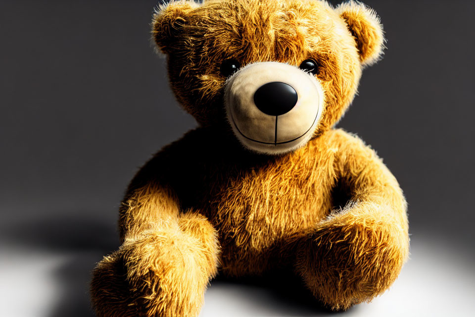 Brown Teddy Bear with Black Nose on Gray Background under Dramatic Lighting