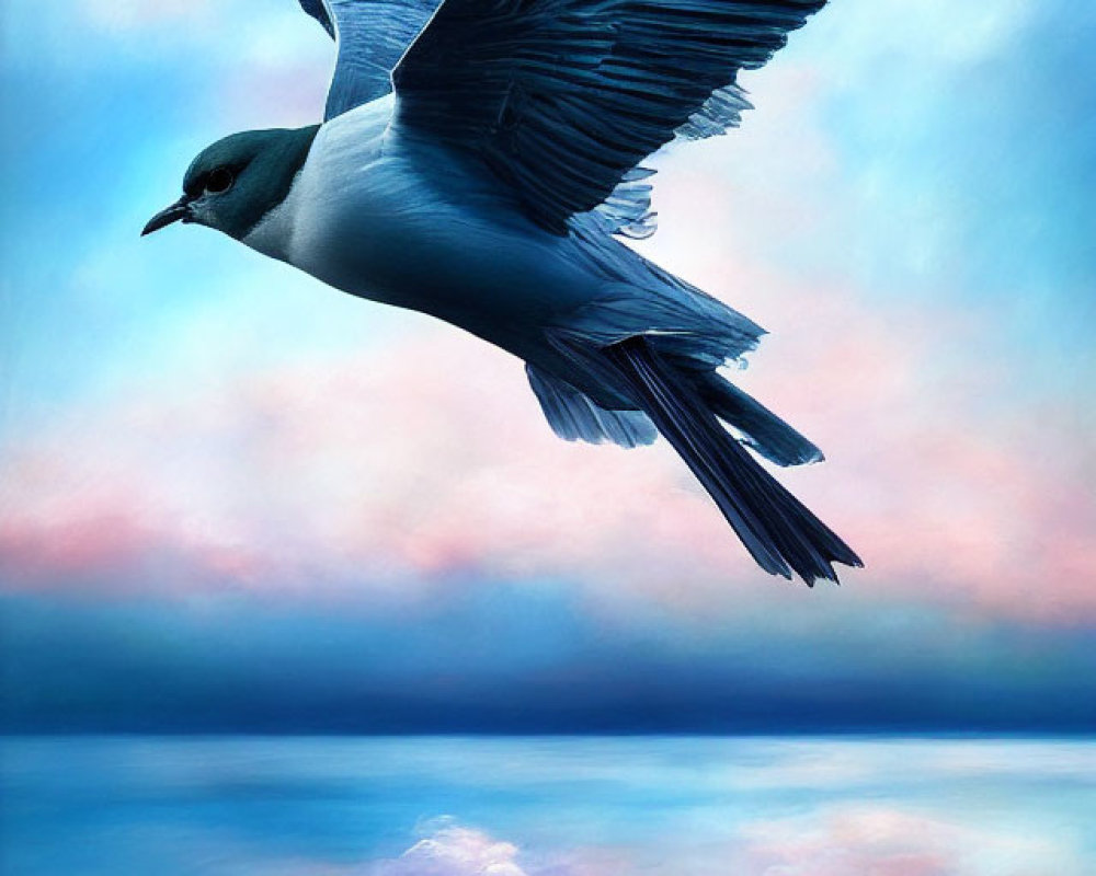 Seagull soaring in serene pastel sky with fully extended wings