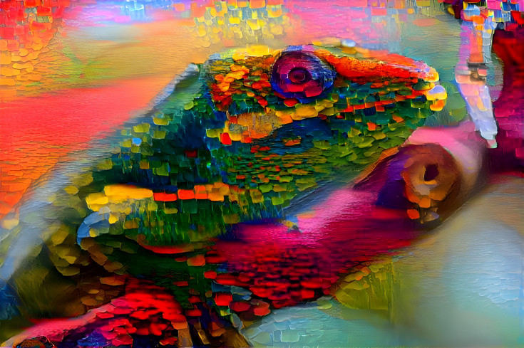Color Lizard