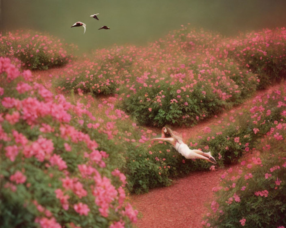 Person in White Dress Surrounded by Pink Flowers and Birds on Narrow Path