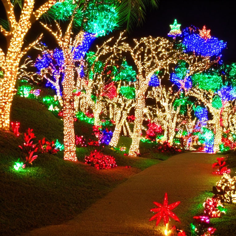 Multicolored Christmas lights on trees at night create festive scene
