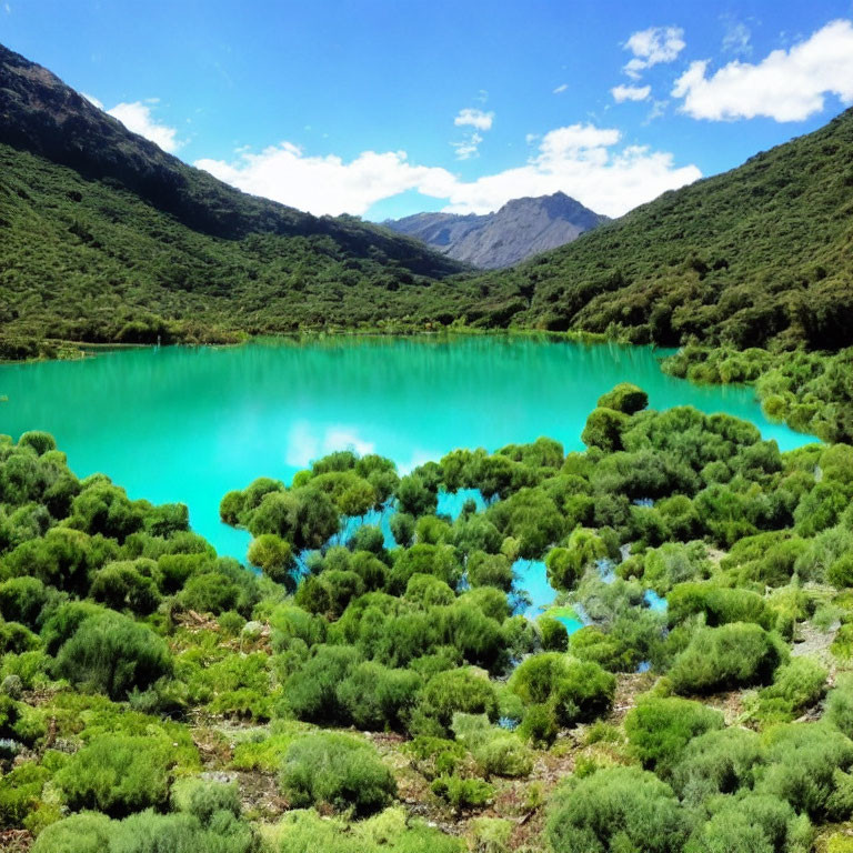 Scenic turquoise lake with green shrubbery and mountains under cloudy sky