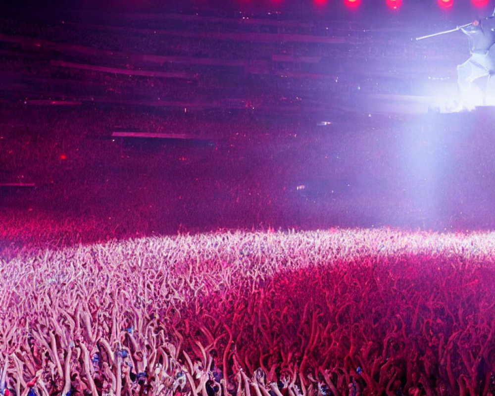 Vibrant Pink Concert Scene with Stage Lights and Raised Hands
