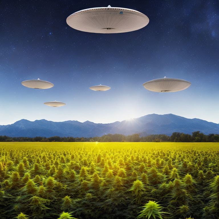 Mysterious UFOs in starlit sky over mountainous field