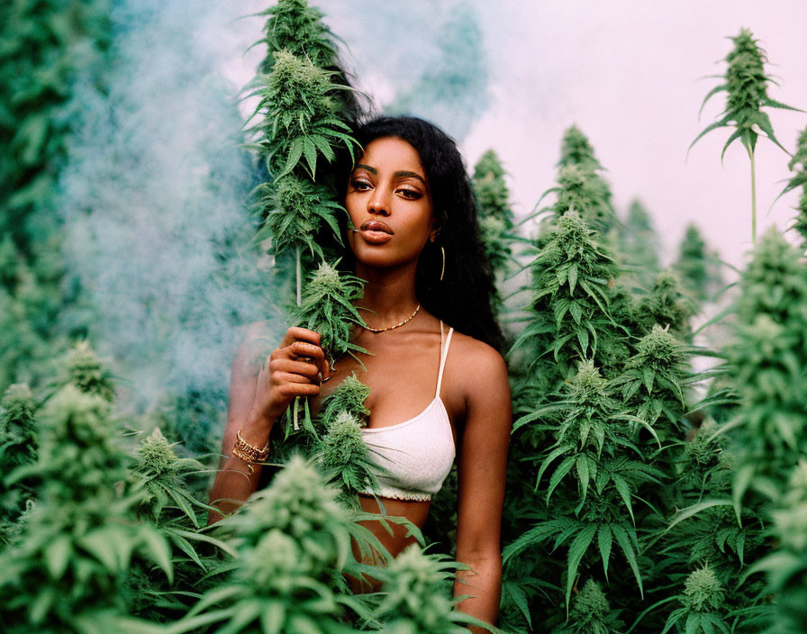 Woman with cannabis plants, holding leaf in hazy backdrop