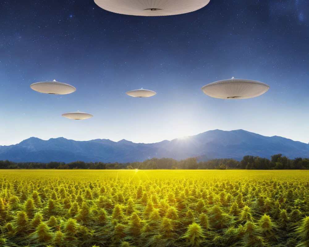 Mysterious UFOs in starlit sky over mountainous field
