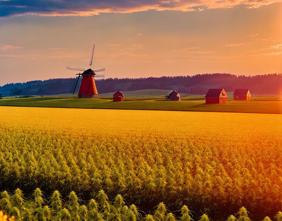 Rural landscape with golden wheat field, windmill, and farmhouse at sunset