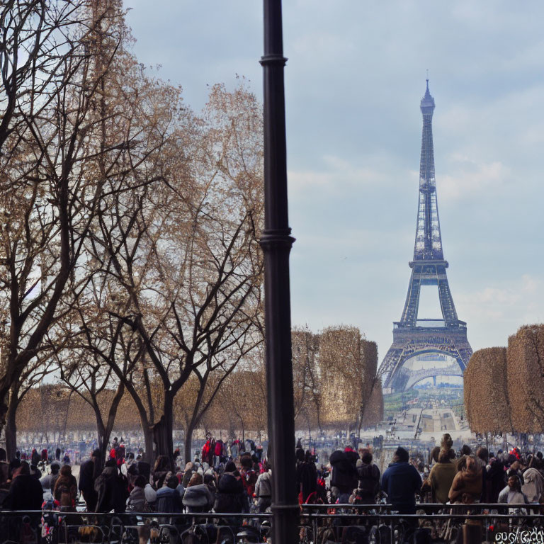 People admiring Eiffel Tower view with trees and lamp post framing.