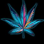 Vibrant digital illustration of neon cannabis leaf on black background