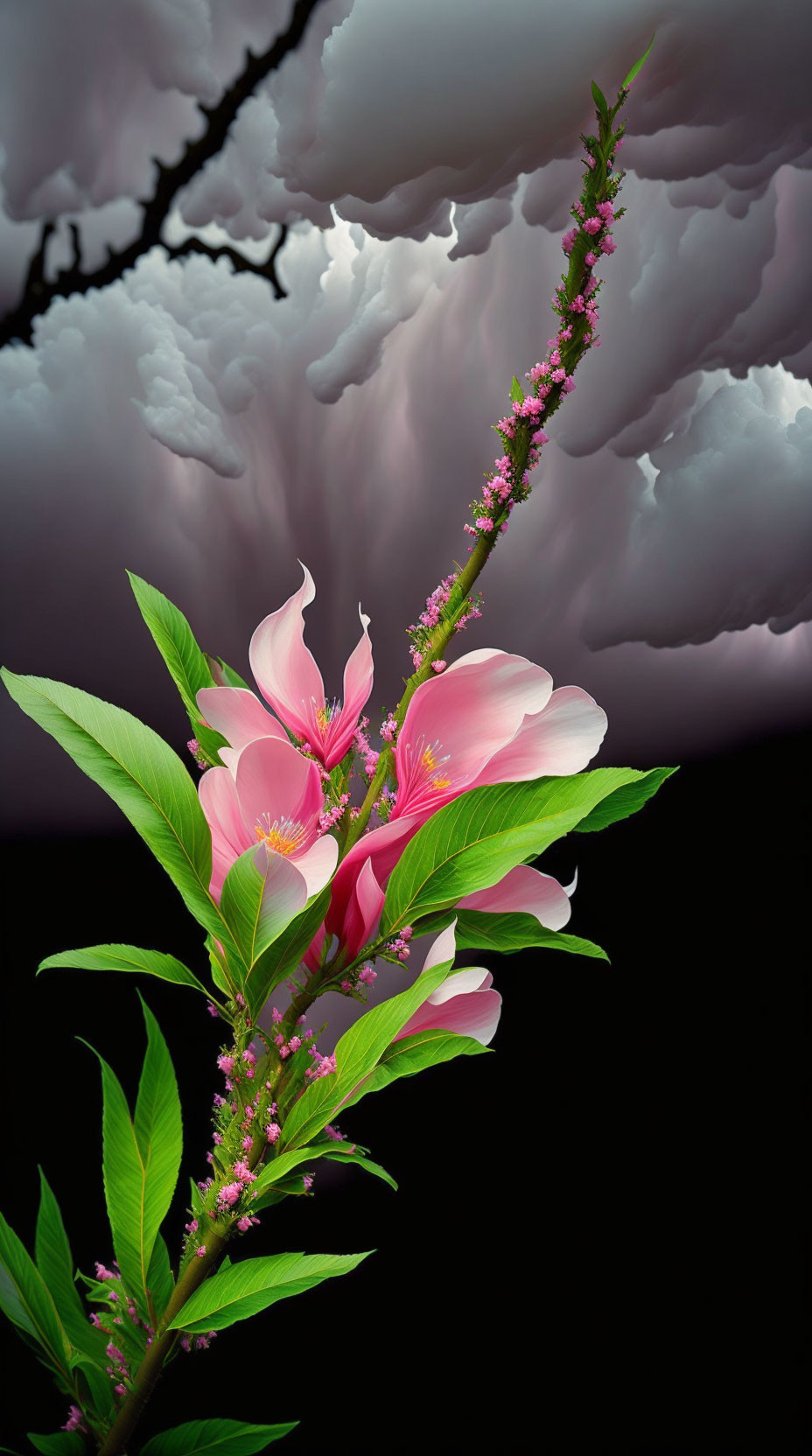 Pink flowers against swirling gray clouds showcase vibrant contrast.