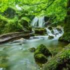 Tranquil Waterfall in Lush Greenery and Moss-Covered Rocks