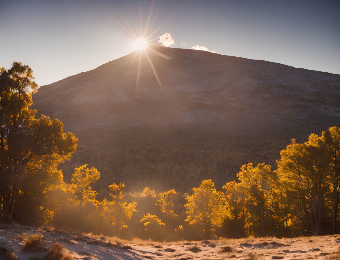 Mountain sunrise with golden leaves and snow-dusted ground