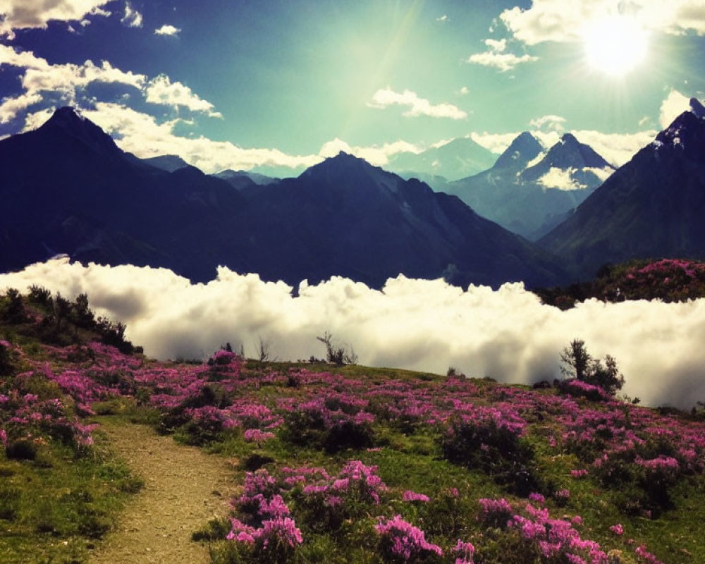 Mountain landscape with trail, pink wildflowers, clouds, and sunny rays.