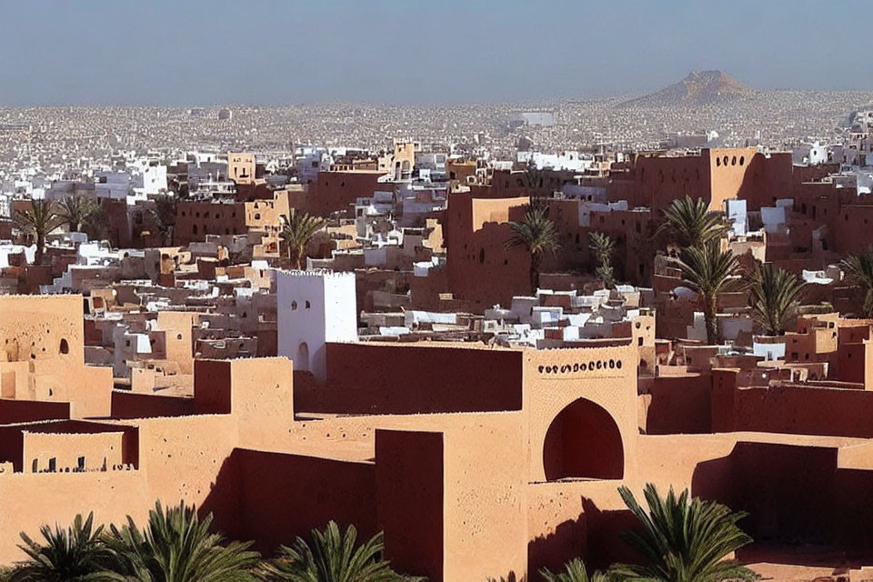 Arid Cityscape with Terracotta Buildings and Clear Sky