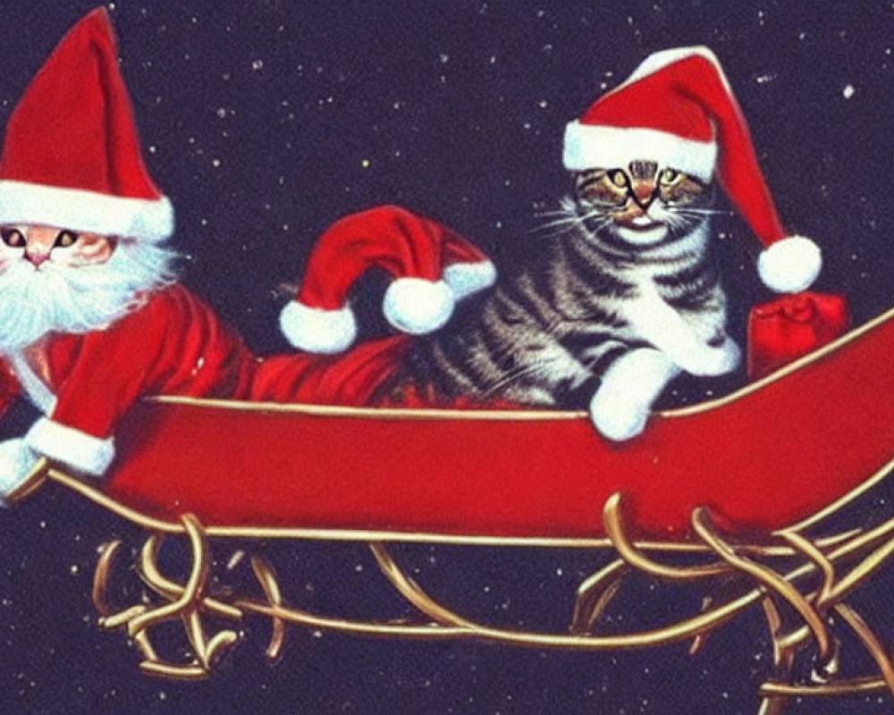 Santa Claus and tabby cat in Santa hats in red sleigh under starry sky