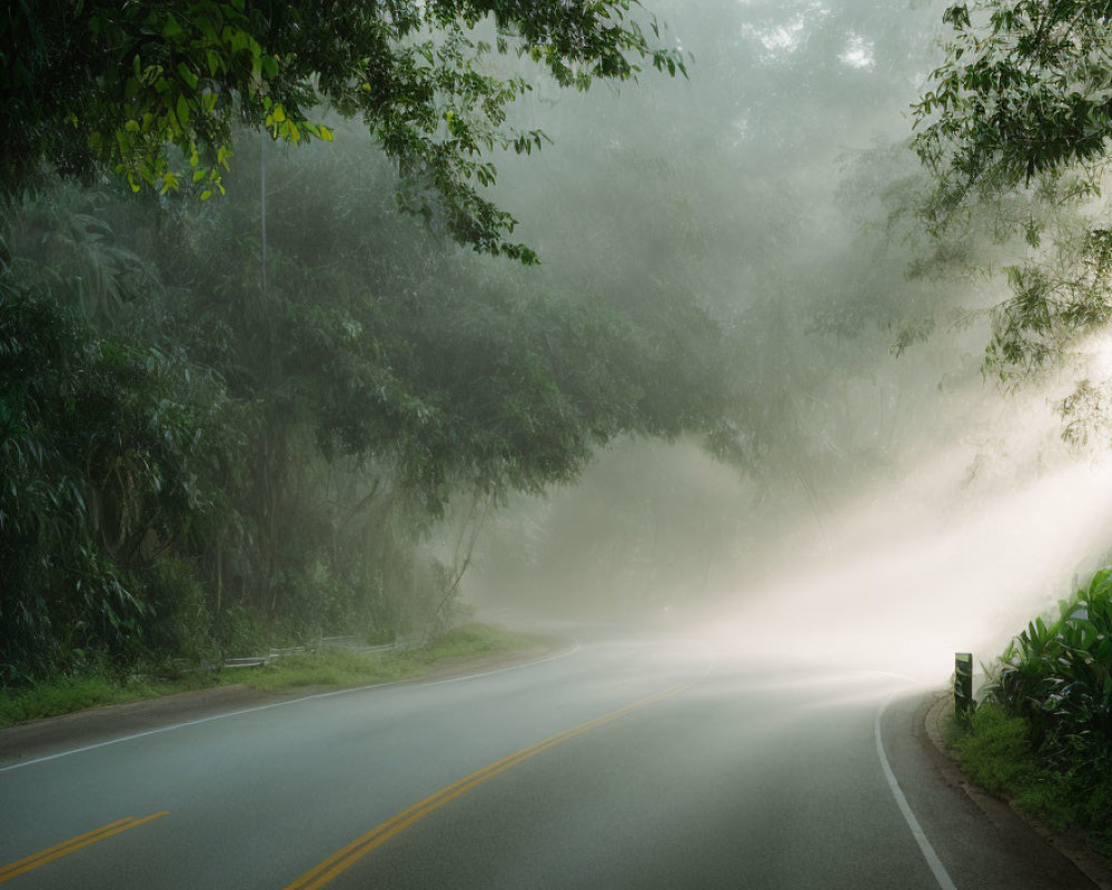Misty Road Through Lush Forest with Sunlight and Fog