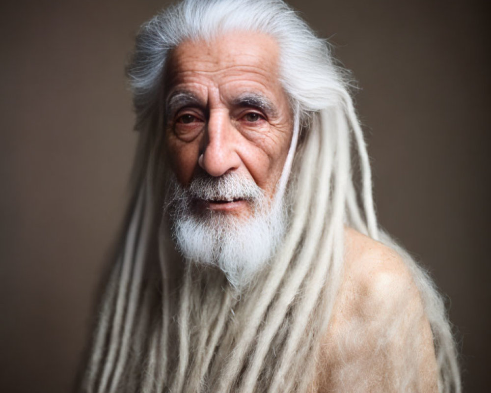 Elderly man with long white beard and dreadlocks in serene portrait.