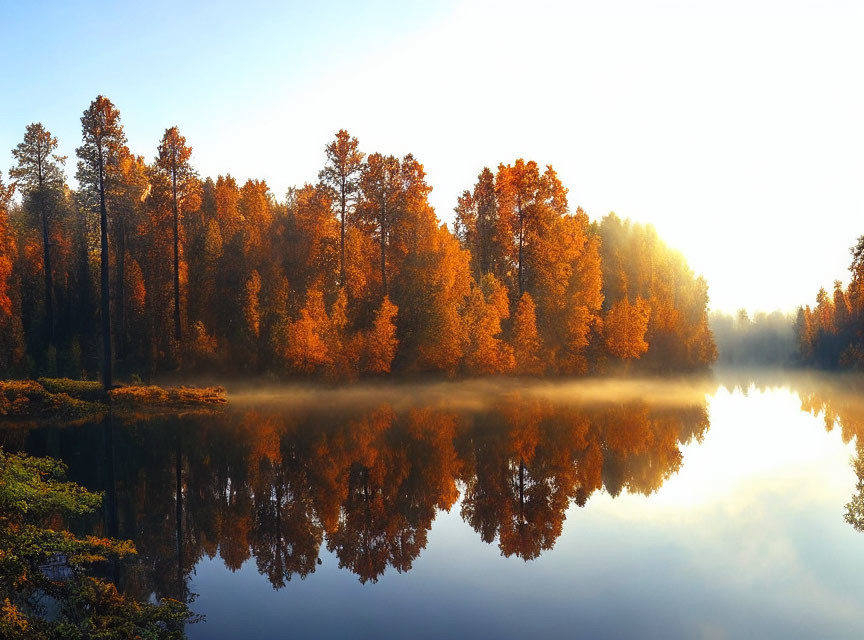 Tranquil lake reflecting autumnal forest under misty sunrise