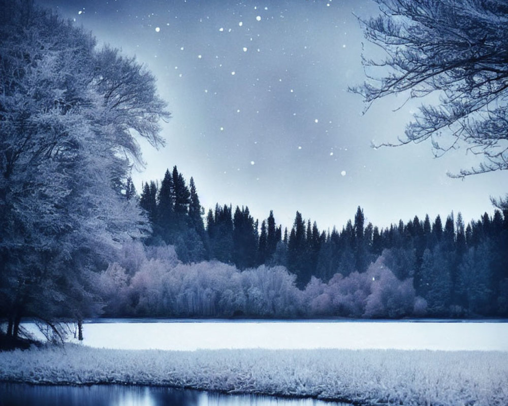 Snow-covered trees, calm lake, starry sky: serene winter scene in blue and white