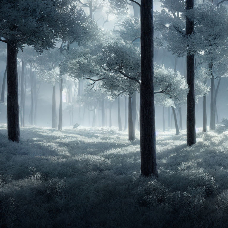 Frosty Woods (upcoming contest--READ DESC)