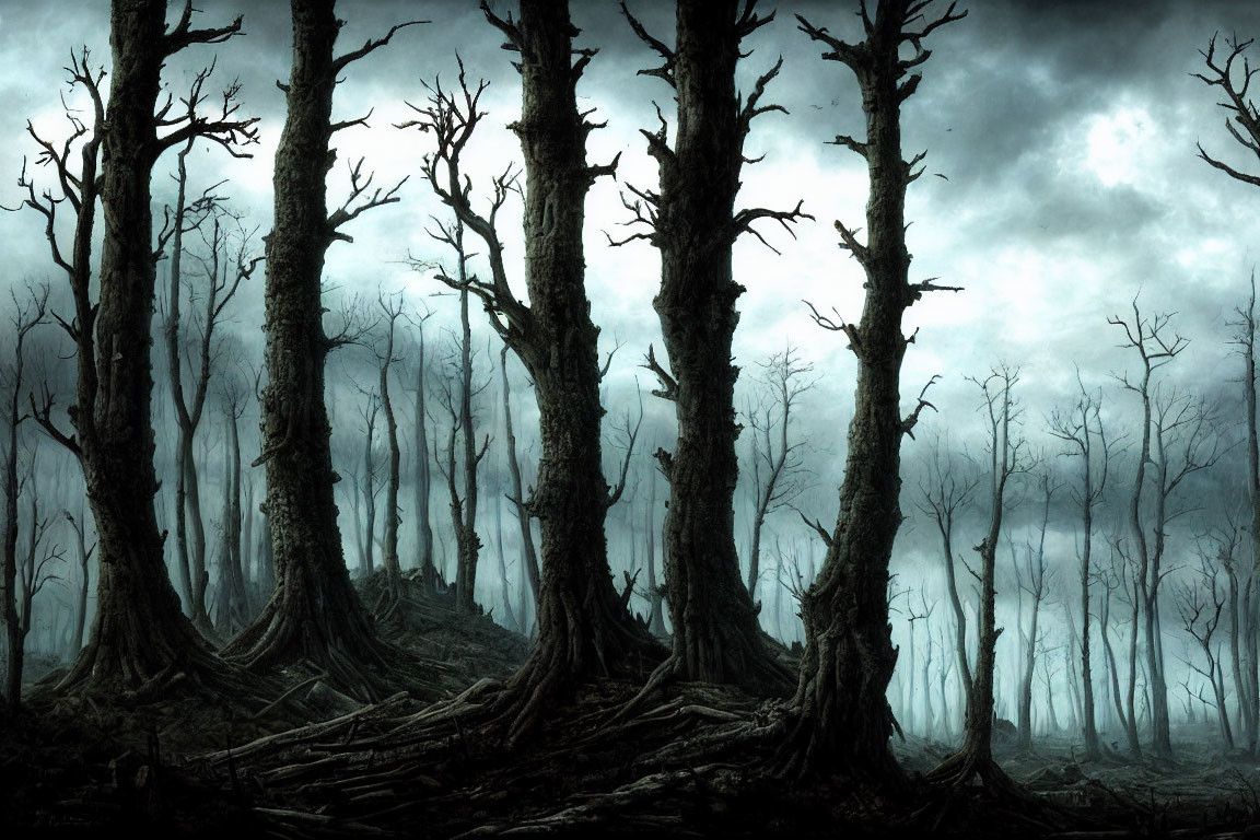 Misty dark forest with twisted trees under ominous sky