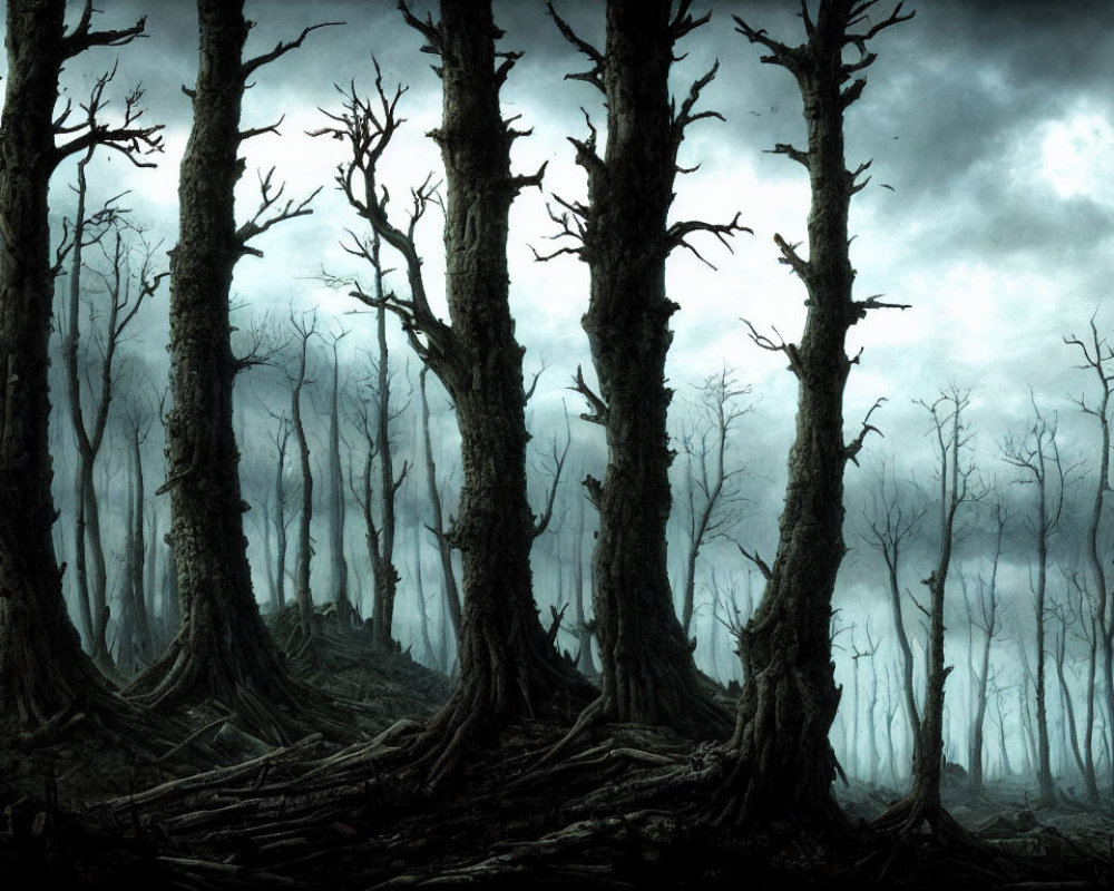 Misty dark forest with twisted trees under ominous sky