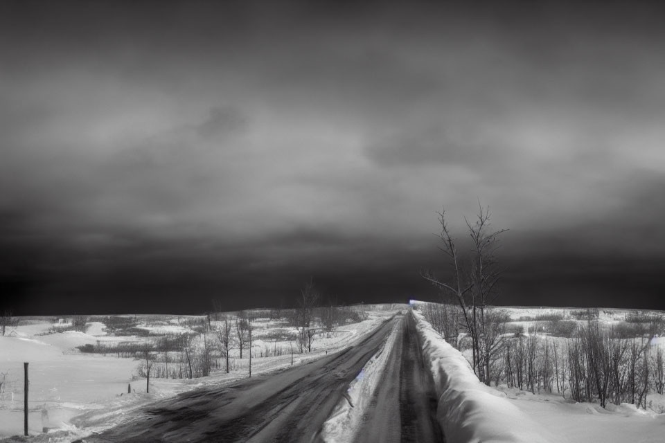 Desolate winter road with leafless trees and snow-covered fields