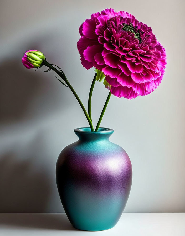 carnation flower in vase