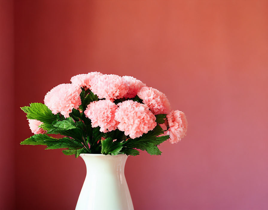carnation flower in pink vase