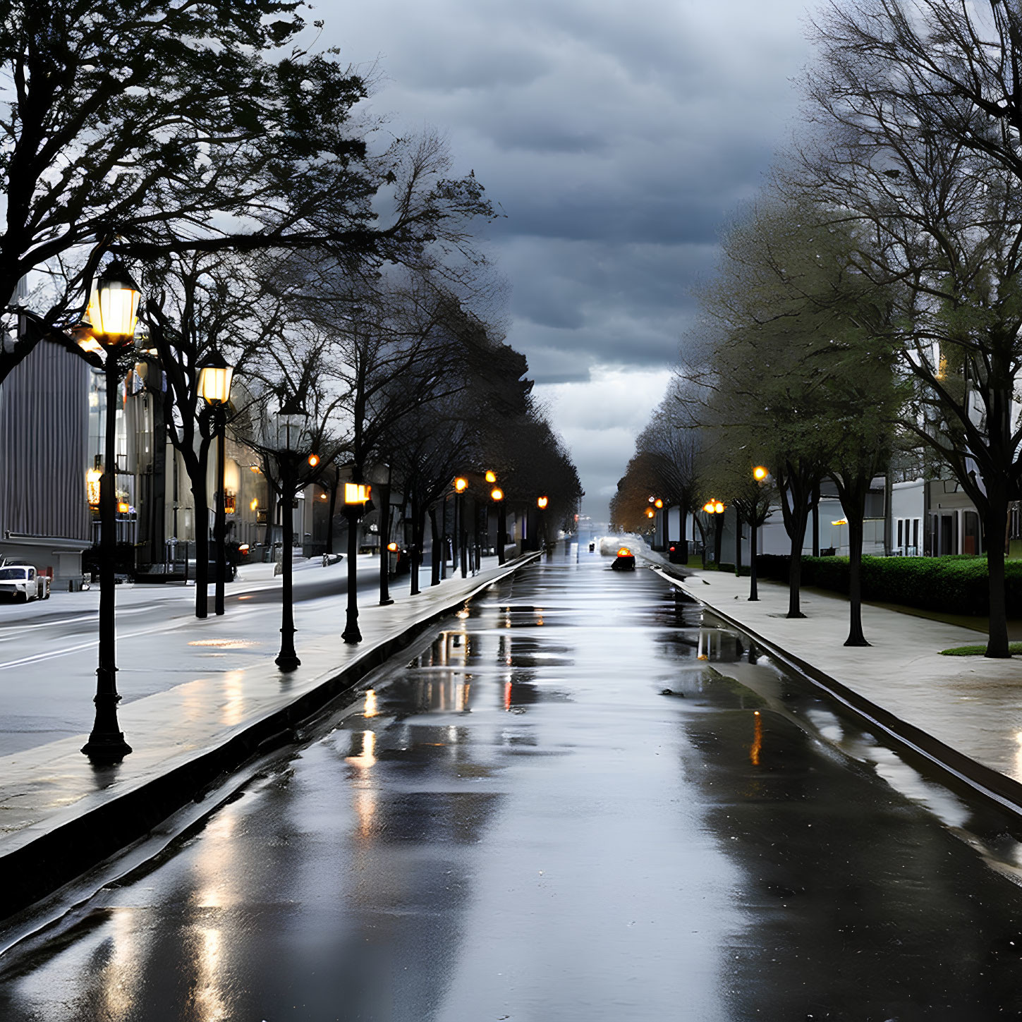 Glowing street lamps and trees on wet street under stormy sky