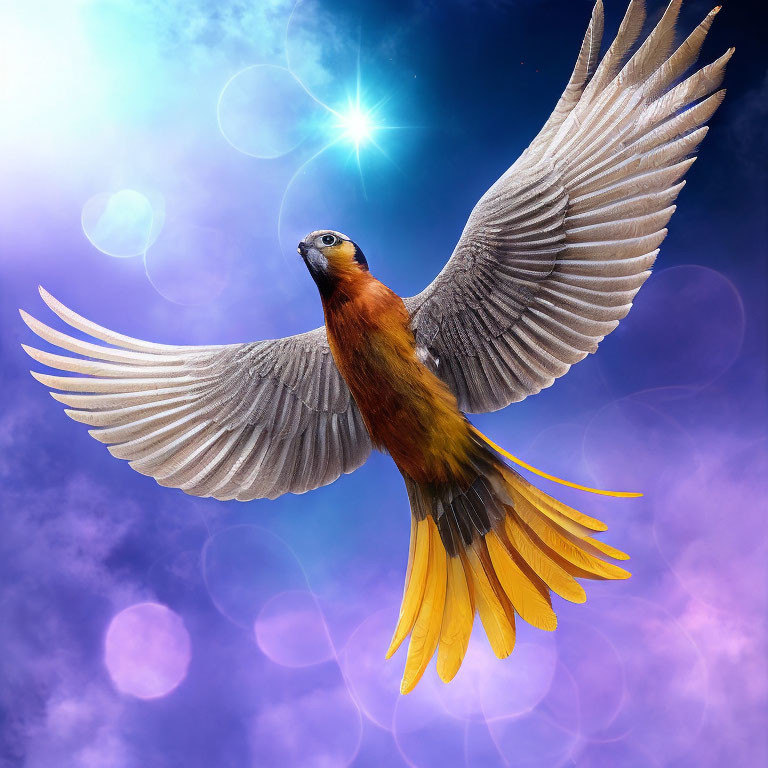 Colorful Bird Flying in Purple-Blue Sky with Sun Flare