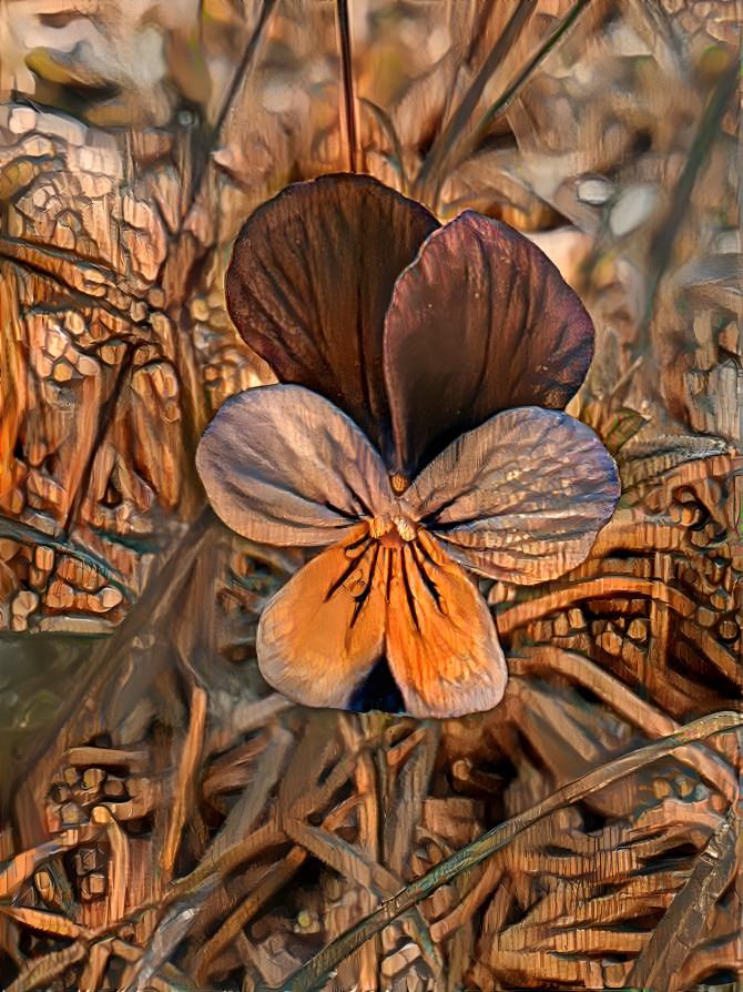 Wooden violet