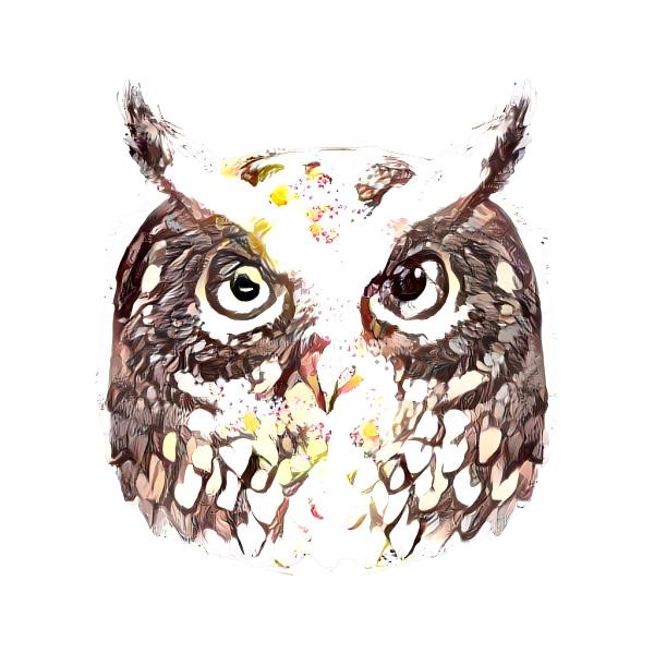 Owl²