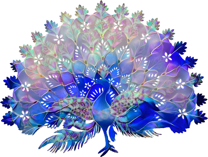 De-albino'd peacock