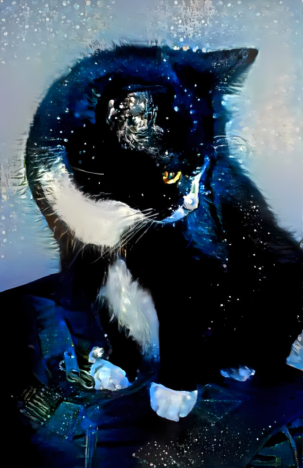 Black hole cat Won't you come & Wash away the rain