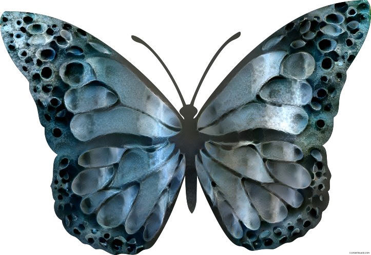 Petrified butterfly