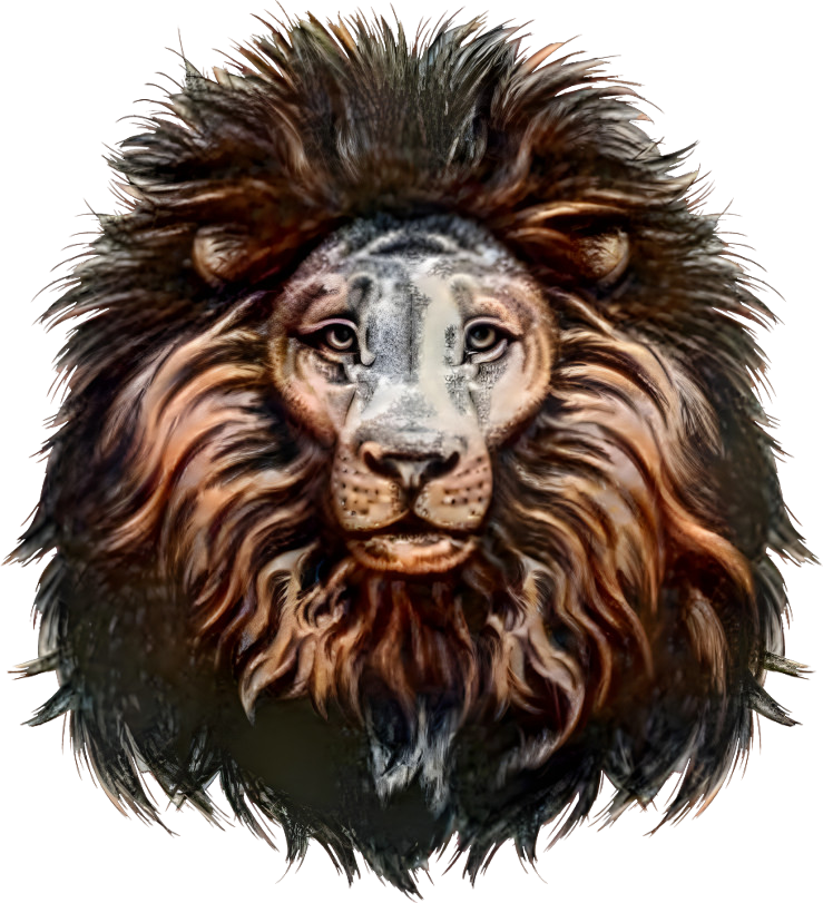 Bronze lion²