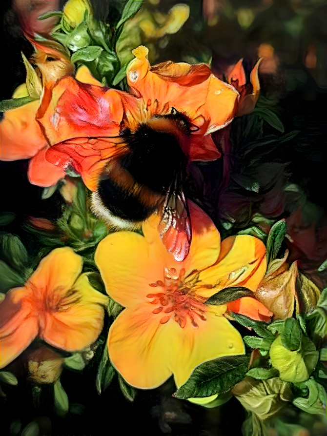 Bee²