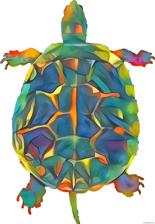 Colourful turtle