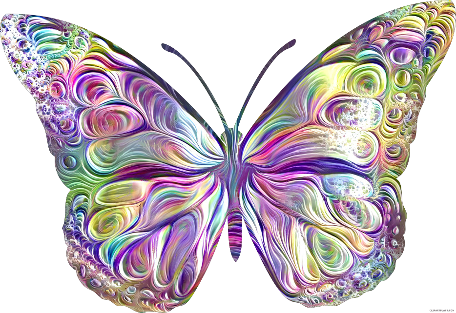 Butterfly of many colours