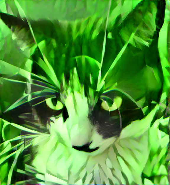 Emerald Kitty