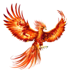 Colorful Phoenix with Fiery Wings: Digital Illustration in Orange and Red