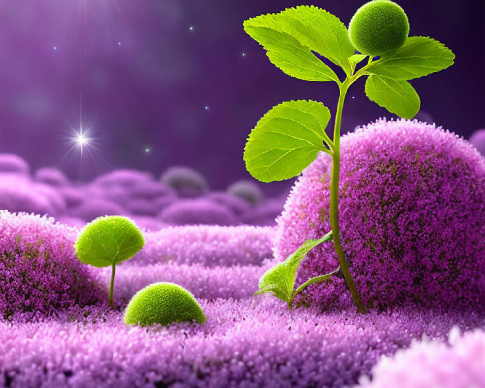 Fantasy landscape with young tree, spherical plants, purple foliage, and starry sky.