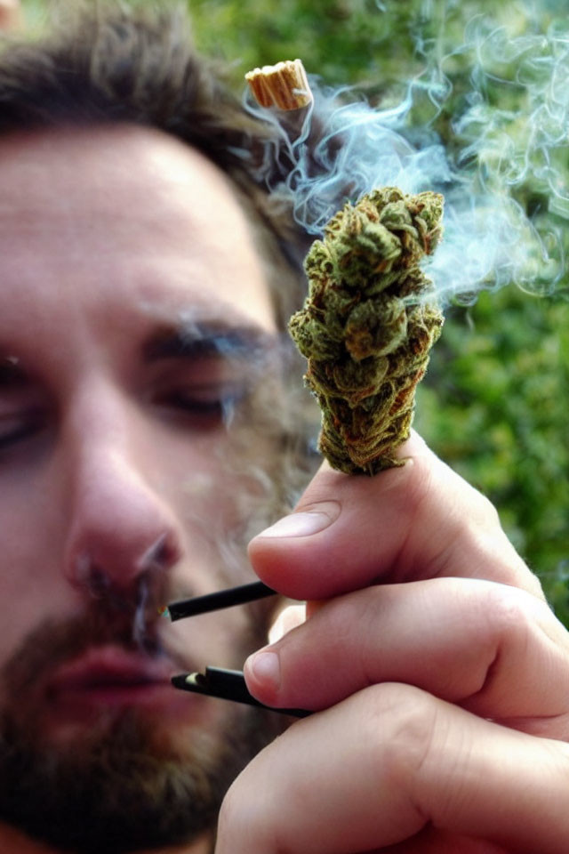 Person holding lit smoking object near face with visible smoke and unlit plant material between fingers.
