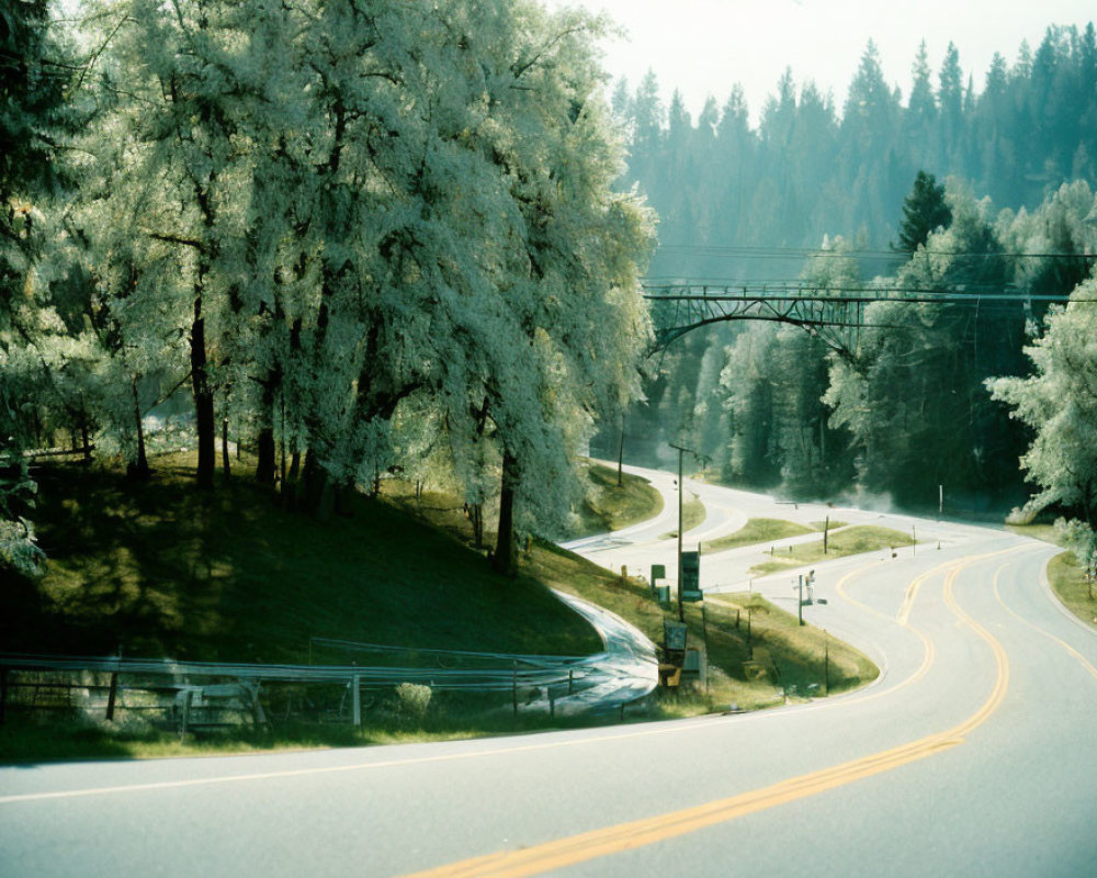 Scenic winding road with lush trees and bridge under clear sky