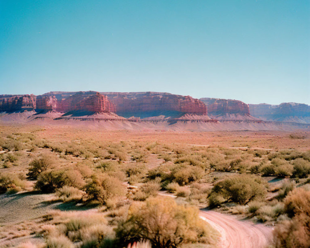 Desert landscape: winding dirt road, sparse shrubbery, red mesa cliffs