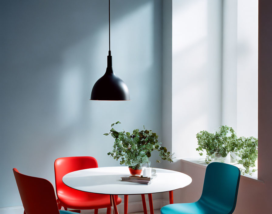 Contemporary interior with white round table, red and blue chairs, hanging lamp, potted plants,